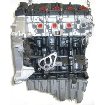 Austausch umgebauten M47 204D4 BMW Motor.